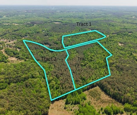 Photo of 0 ED BARHAM TRACK 3 RD, Bethel Springs, TN 38315 (MLS # 10222140)