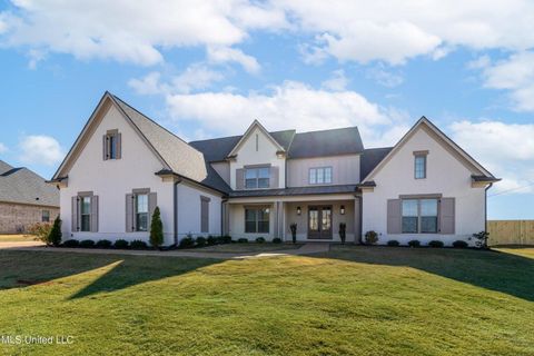 Photo of 7019 SCARLET ST, Olive Branch, MS 38654 (MLS # 10211345)