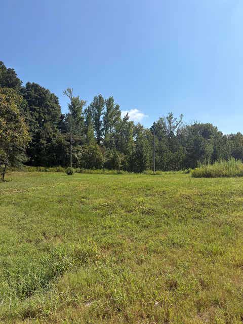 Photo of 001 HANCOCK RD, Ripley, TN 38063 (MLS # 10228902)