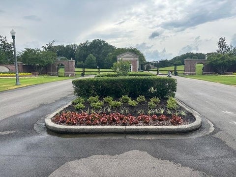 Photo of 360 LEXINGTON MANOR DR, Eads, TN 38028 (MLS # 10177588)