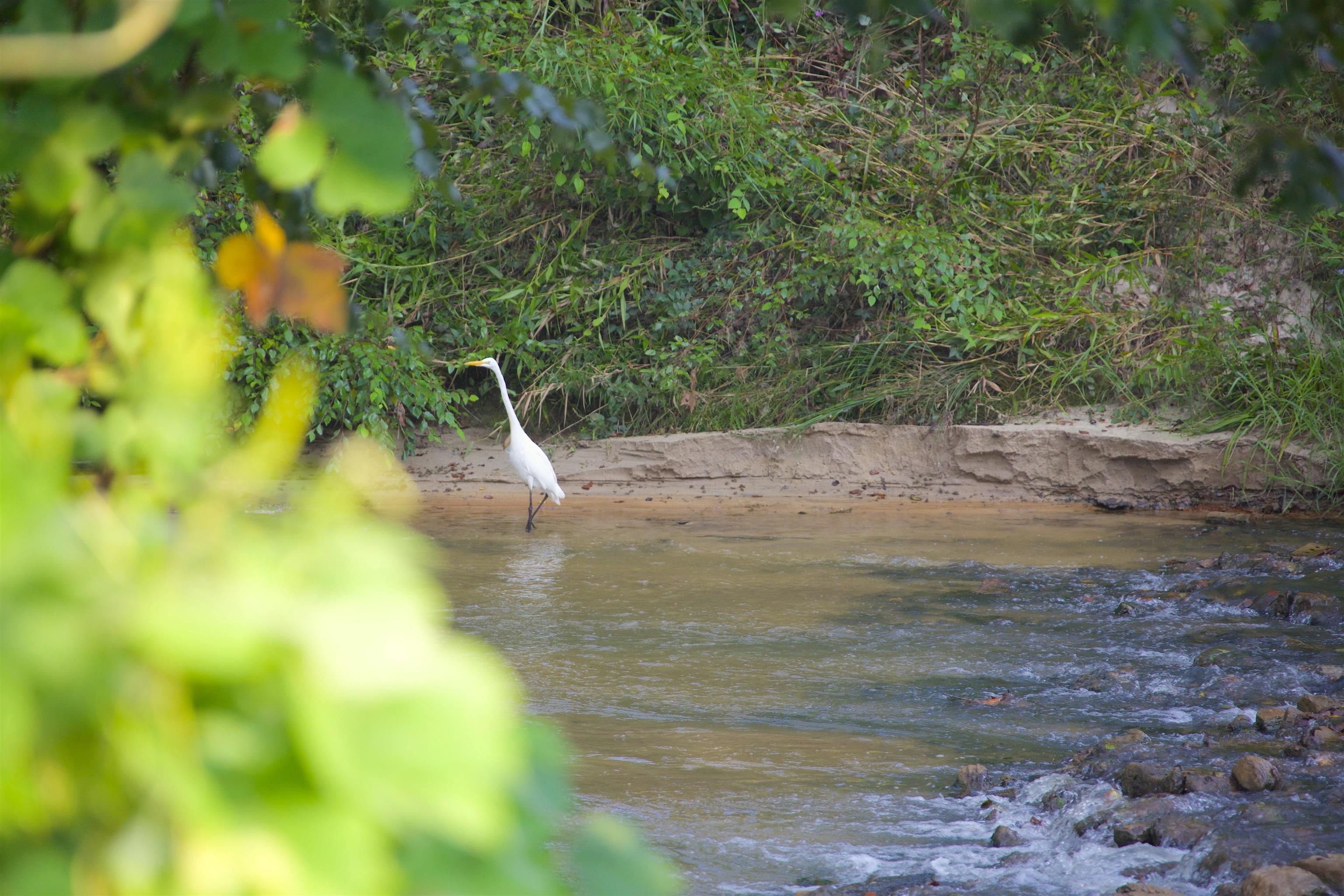 23500 TENNESSEE 125 HWY