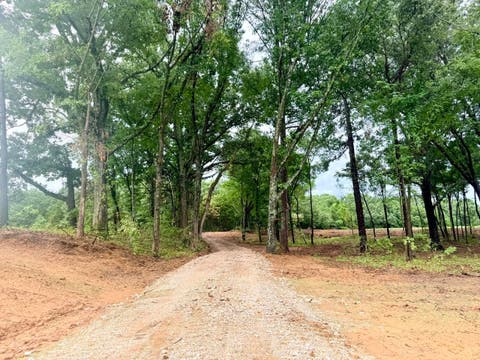 Photo of 0 YOUNG CEMETARY RD, Gadsden, TN 38337 (MLS # 10224020)