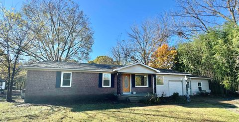 Photo of 35 ELLIS LOOP RD, Ripley, TN 38063 (MLS # 10203472)