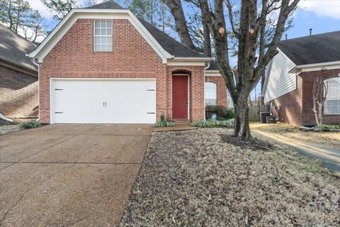 Photo of 7149 CHENA BAY LN, Cordova, TN 38018 (MLS # 10212570)