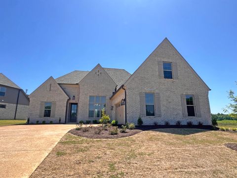 Photo of 305 VALLEYVIEW LN, Oakland, TN 38060 (MLS # 10206437)