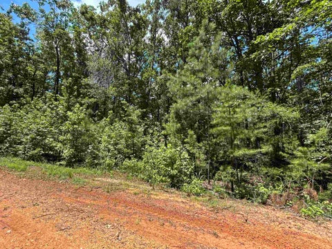 Photo of 685 CHAD LN, Pickwick Lake, TN 38365 (MLS # 10227285)