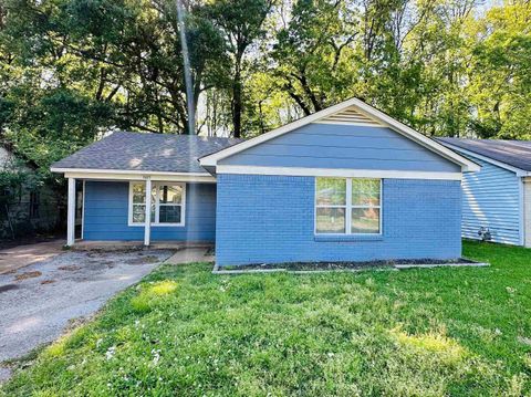 Photo of 3677 BISON ST, Memphis, TN 38109 (MLS # 10213712)