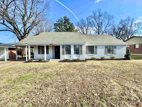 3970 PATTE ANN DR Memphis TN 38116