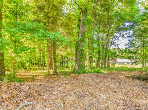 Photo of 95 CANONBURY CV, Eads, TN 38028 (MLS # 10219634)