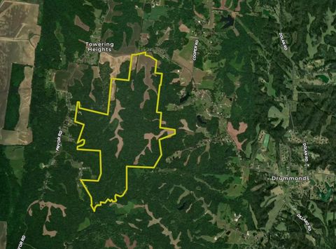 RICHARDSON LANDING RD Unicorp/Drummonds TN 38023