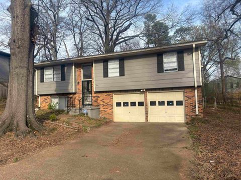 Photo of 3420 ADRICK RD, Memphis, TN 38128 (MLS # 10216689)