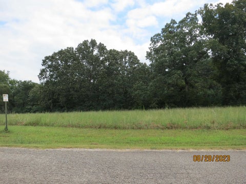 Photo of 101112 FALCON CV, Middleton, TN 38052 (MLS # 10201222)