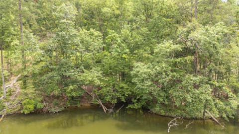 Photo of LOT 181 ARBORWOOD LN, Savannah, TN 38372 (MLS # 10224484)