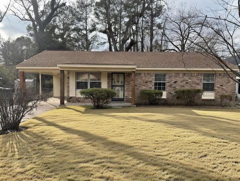 Photo of 4161 TRUDY DR, Memphis, TN 38128 (MLS # 10211701)
