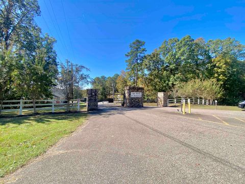 Photo of 100 HORIZON LN, Counce, TN 38326 (MLS # 10208374)