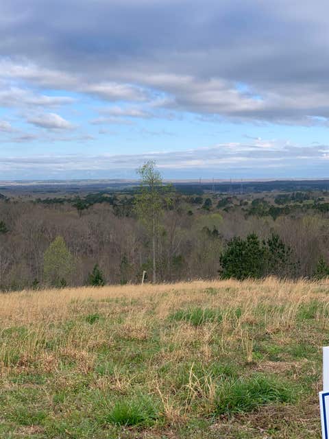 Photo of TURKEY KNOB RD, Counce, TN 38326 (MLS # 10190775)