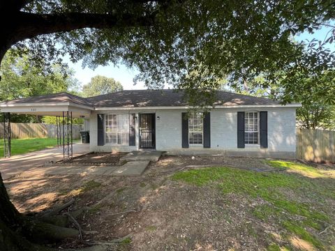 Photo of 4309 STARTOUCH CV, Memphis, TN 38141 (MLS # 10222519)