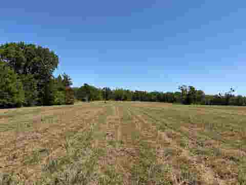 Photo of 5 BETHLEHEM RD, Adamsville, TN 38310 (MLS # 10224198)