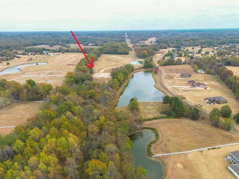 Photo of 11760 STABLE VIEW DR, Eads, TN 38028 (MLS # 10224343)