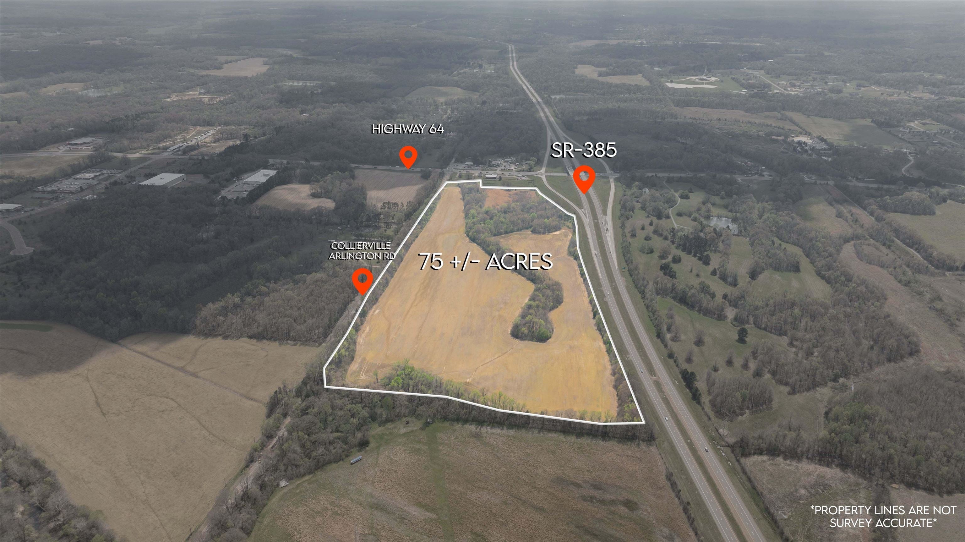 3131 US 64 HWY