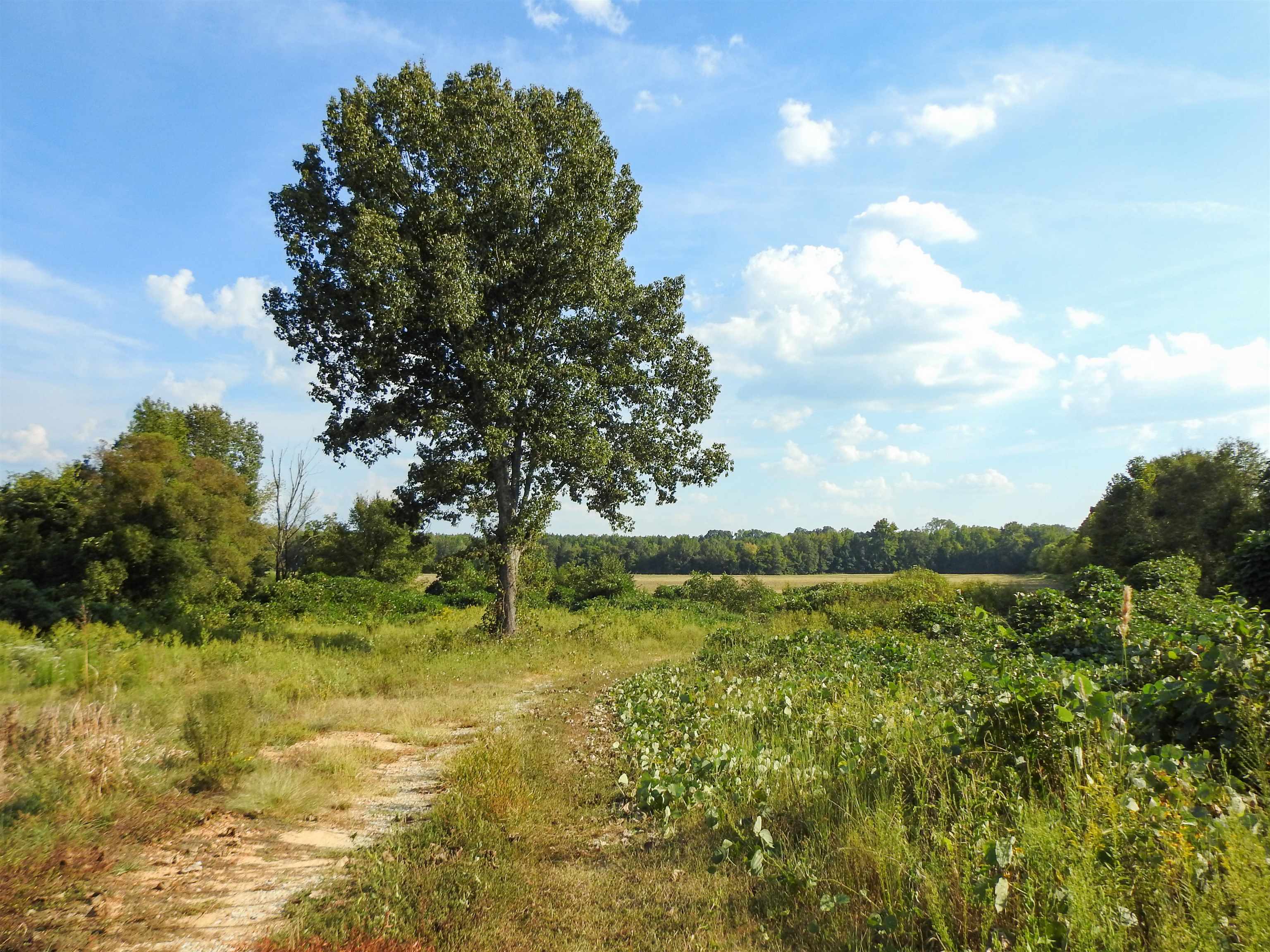 HORNSBY LOOP