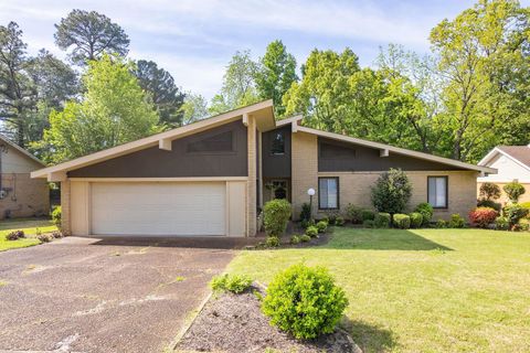 Photo of 36 MCDANIEL DR, Jackson, TN 38305 (MLS # 10220157)
