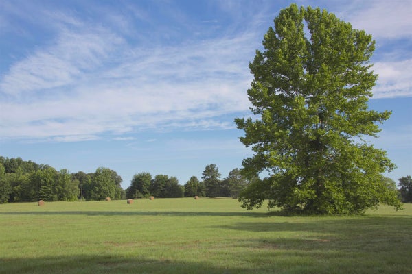 3490 YAGER DR, MOSCOW, TN 38057 - Image a19ae087e6f93a72ceb1eadd2b817e72/3363006255