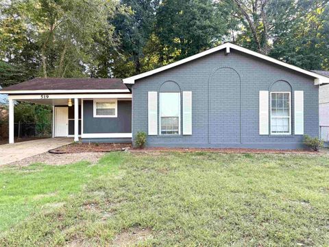 Photo of 519 FOX VALLEY DR, Unincorporated, TN 38127 (MLS # 10207600)