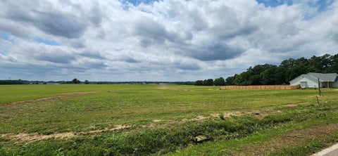 Featured picture for the property 10196708