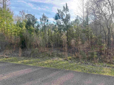 Photo of 0 SHILOH FALLS COURT RD, Counce, TN 38372 (MLS # 10210313)