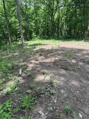 0 N WATKINS RD, MILLINGTON, TN 38053 - Image a364e933c8cd85300c8d29f781a3c512/751632754