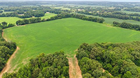 Photo of 0 BUD EUBANK RD, Stanton, TN 38069 (MLS # 10225901)