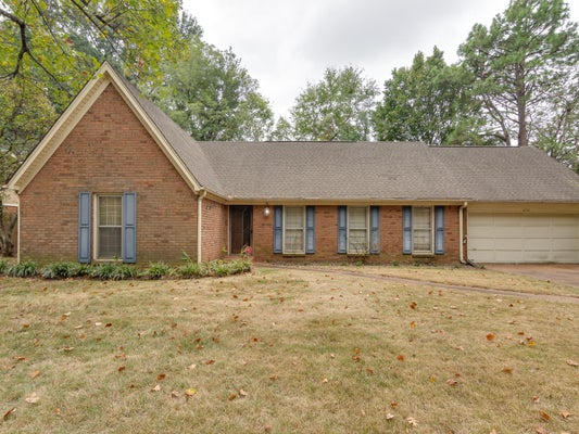 6733 AMERSHAM DR, MEMPHIS, TN 38119 - Image a5ee2a8228a53cea8768df6e341e9d84/2919925218