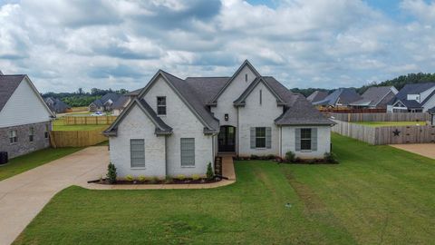 Photo of 4209 BROOKE DR, Nesbit, MS 38651 (MLS # 10198947)