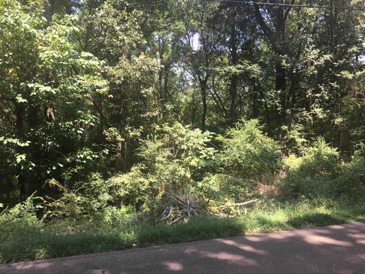 3837 CANADA RD, LAKELAND, TN 38002 - Image a79d8ea758eacabd20fec4d5c7f93bd9/3648406158
