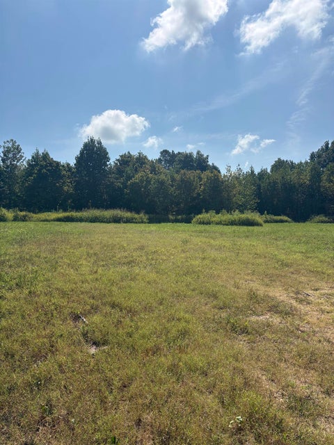 Photo of 002 HANCOCK RD, Ripley, TN 38063 (MLS # 10228904)