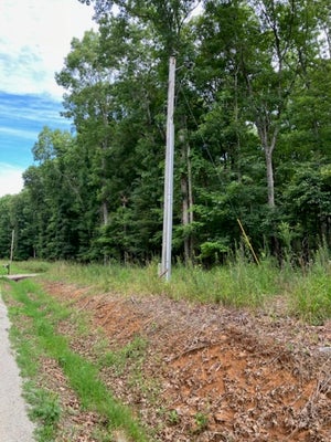3075 REHOBOTH RD, SOMERVILLE, TN 38068 - Image a8c4e2fe92eedf5e3853bd042599e124/469921835
