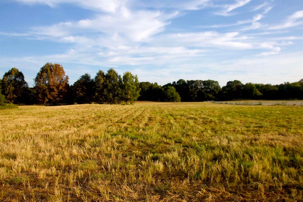 24275 STATE RTE 57, MOSCOW, TN 38057 - Image a97d1b49ac66aabb7ebaa8166dd8974a/2938856478