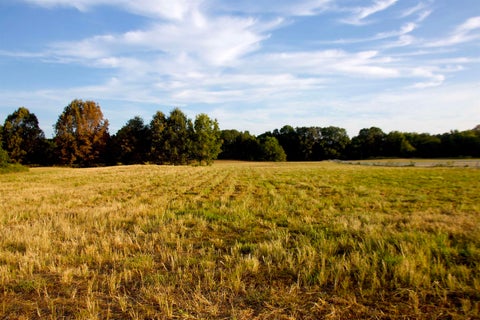 Photo of 24275 HWY 57 HWY, La Grange, TN 38046 (MLS # 10230048)