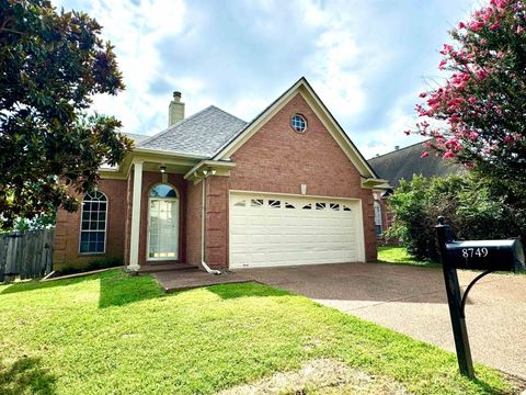 Single Family Residence in Memphis TN 8749 EAGLE VIEW DR.jpg