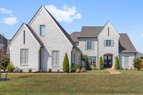 Photo of 689 CYPRESS VIEW CIR E, Collierville, TN 38017 (MLS # 10206078)
