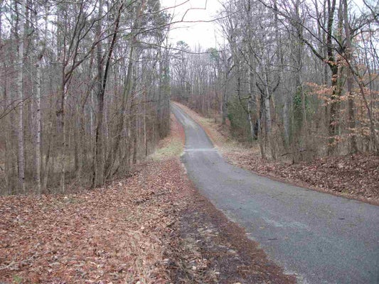120 RAINBOW LN, COUNCE, TN 38326 - Image aacea30f52378b6edac8553dfd42ce66/3288636716