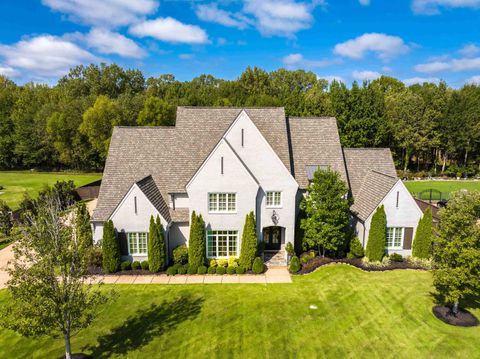 Photo of 365 BLACK DUKE CIR W, Unincorporated, TN 38017 (MLS # 10207452)