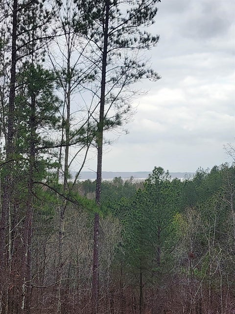 Photo of LOT #5 EAGLE POINT DR, Cherokee, AL 35616 (MLS # 10206491)