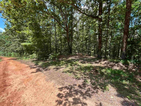 Photo of 655 CHAD LN, Pickwick, TN 38365 (MLS # 10227280)