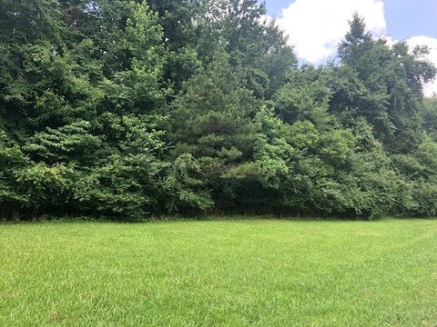 Photo of LYNNWOOD CV, Adamsville, TN 38310 (MLS # 10194254)