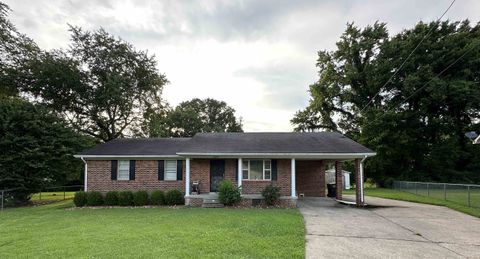 Photo of 335 SHELLY AVE, Dyersburg, TN 38024 (MLS # 10213480)