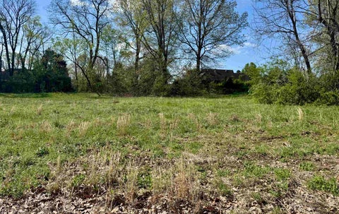 Photo of 059 YORK CMNS ST, Ripley, TN 38063 (MLS # 10223026)