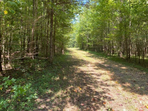 Photo of OAK GROVE LN, Henderson, TN 38340 (MLS # 10229310)