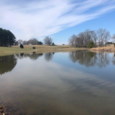 60 HUTTON WAY, ROSSVILLE, TN 38076 - Image ba11d045e6cd602f92a3bf05facedee7/2620289219